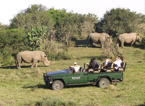 Reiseveranstalter Safari